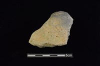 藏品(陶片)的圖片