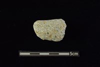 藏品(陶把及陶鈕)的圖片