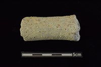 藏品(鼎足)的圖片