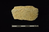 藏品(陶容器)的圖片