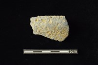 藏品(陶容器)的圖片