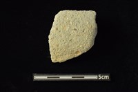 藏品(陶容器)的圖片