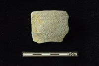 藏品(陶罐)的圖片