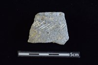 藏品(陶罐)的圖片