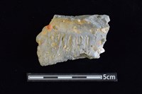 藏品(陶罐)的圖片