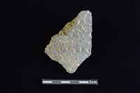 藏品(陶罐)的圖片