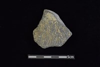 藏品(陶罐)的圖片