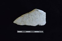 藏品(陶片)的圖片