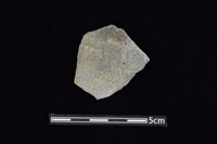 藏品(陶片)的圖片