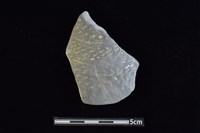 藏品(陶容器)的圖片