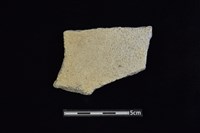 藏品(陶片)的圖片