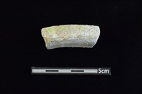 藏品(陶缽)的圖片