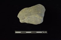 藏品(陶片)的圖片