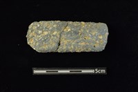 藏品(陶片)的圖片