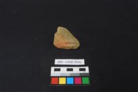 藏品(陶片)的圖片