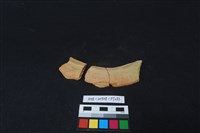 藏品(陶片)的圖片