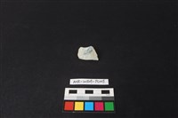 藏品(瓷片)的圖片