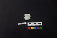 藏品(瓷碗)的圖片