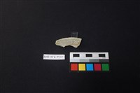 藏品(瓷盤)的圖片