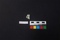 藏品(瓷片)的圖片