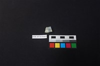 藏品(瓷片)的圖片
