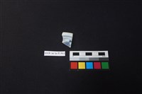 藏品(瓷片)的圖片