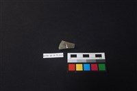 藏品(湯匙)的圖片