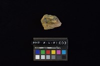 藏品(陶片)的圖片