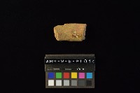 藏品(陶罐)的圖片