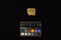 藏品(陶罐)的圖片