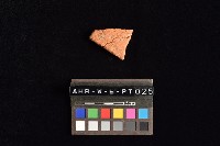 藏品(陶片)的圖片