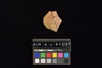 藏品(陶片)的圖片