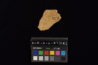 藏品(陶片)的圖片