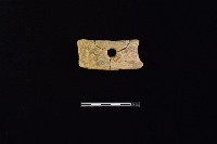 藏品(陶片)的圖片