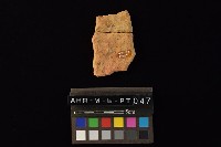 藏品(陶片)的圖片