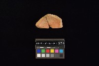 藏品(陶片)的圖片