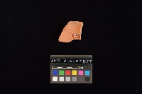 藏品(陶片)的圖片