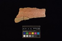 藏品(陶罐)的圖片