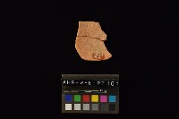 藏品(陶片)的圖片