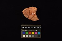 藏品(陶片)的圖片