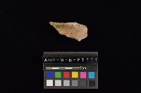 藏品(陶罐)的圖片