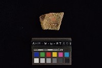 藏品(陶片)的圖片