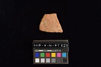 藏品(陶片)的圖片