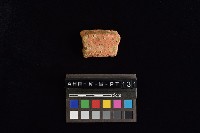 藏品(陶罐)的圖片