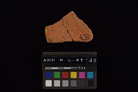 藏品(陶片)的圖片