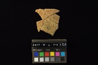 藏品(陶片)的圖片