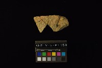 藏品(陶片)的圖片