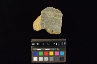 藏品(陶片)的圖片