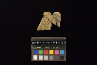 藏品(陶片)的圖片