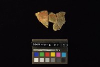 藏品(陶罐)的圖片